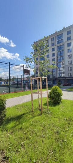 2-к. квартира, 59,5 м², 2/9 эт.