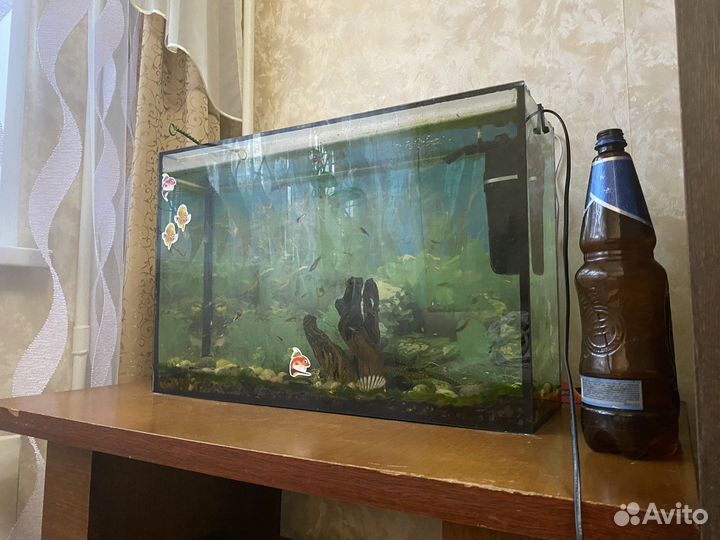 Аквариум с рыбками