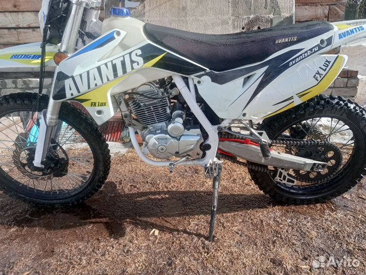 Avantis FX lux 250