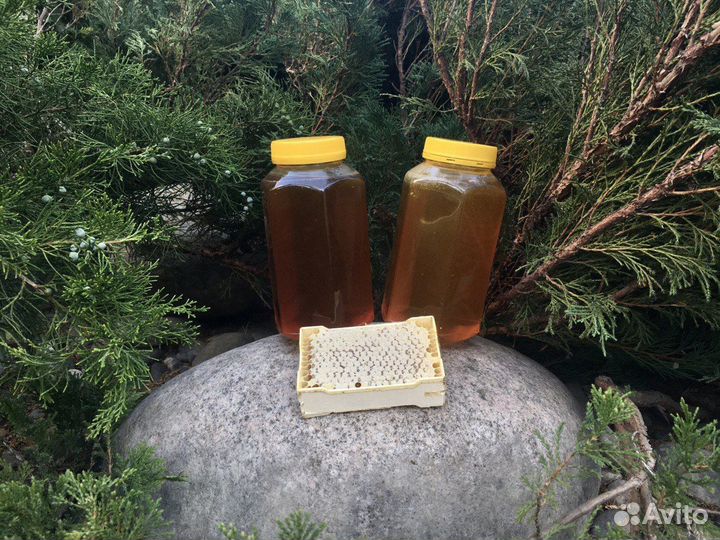 Мед Алтайский Ельцовский район Алт край собствен