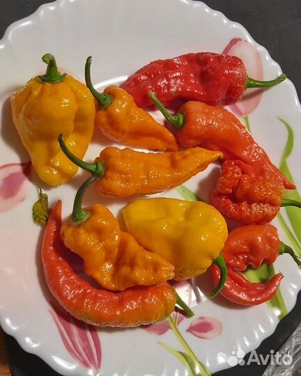 Перец острый Carolina Reaper, Trinidad Scorpion