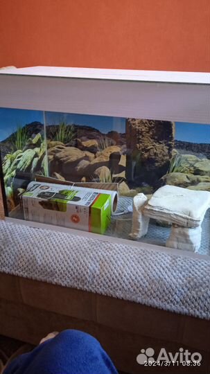 Аквариум