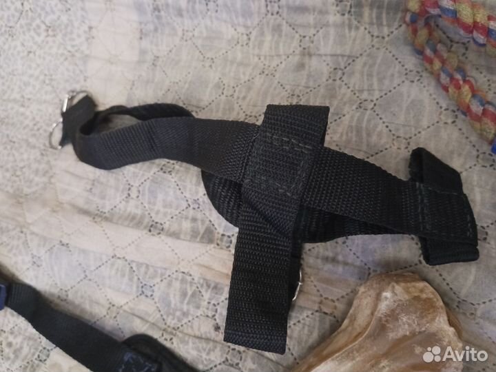 Шлейка, намордник, игрушки