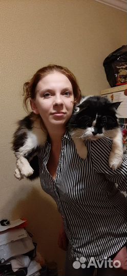 Грумминг на Тимирязевской