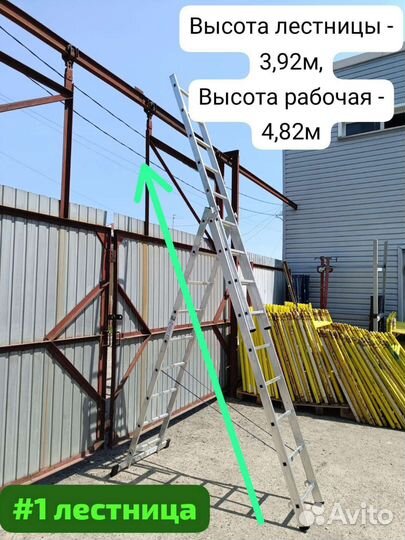 Вышка - тура и лестница аренда (доставка)