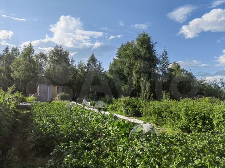 Участок 9 сот. (СНТ, ДНП)