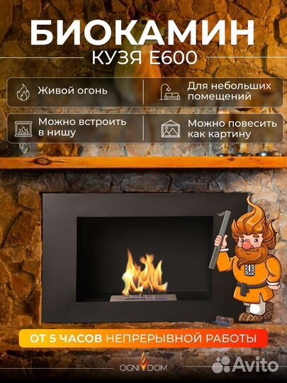 Биокамин встраиваемый