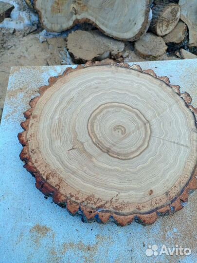 Комель, Торцевые спилы деревьев, Слэбы, Доски