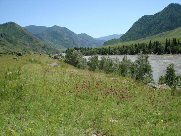 Дом 32 м² на участке 17 сот.