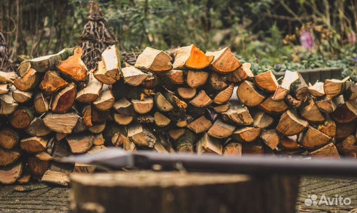 Дрова с Зеленогорска