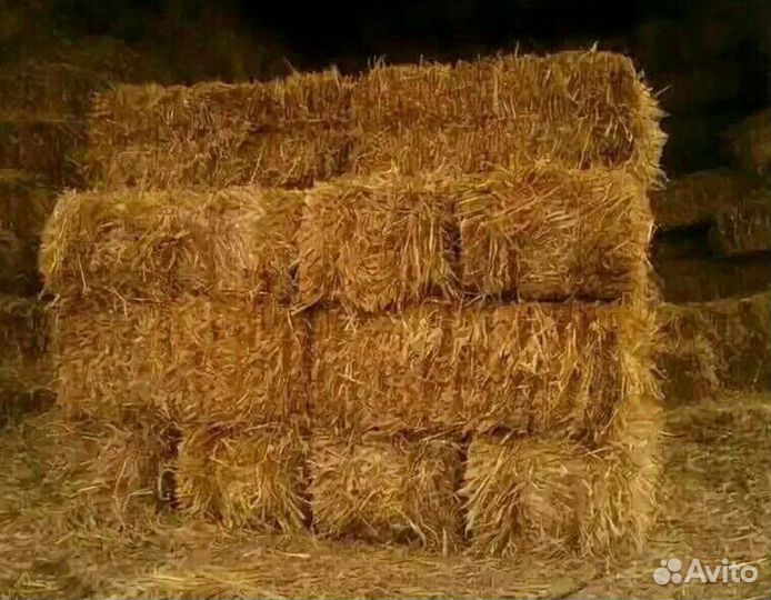 Солома в тюках в Истре