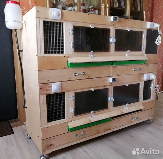 Брудер для цыплят