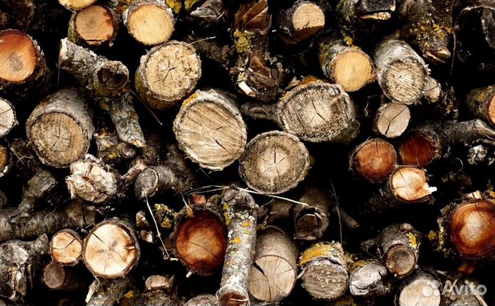 Дрова для бани