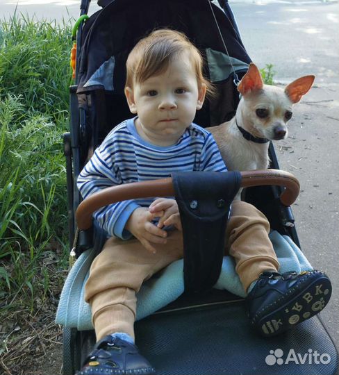 Мальчик ищем невесту