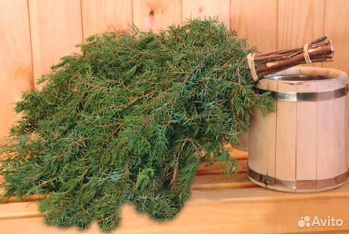 Веники для бани-можжевельник