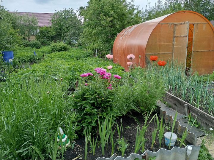 Дача 40 м² на участке 5,5 сот.