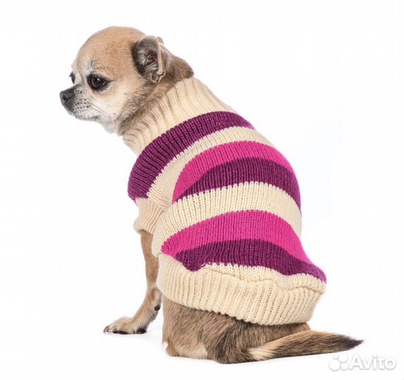 Одежда для собак мелких и средних пород