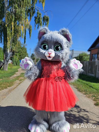 Экспресс поздравление, анимация, ростовая кукла
