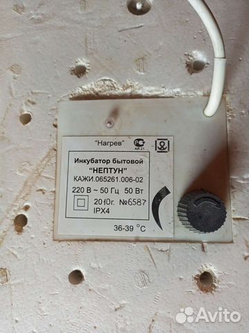 Инкубатор для яиц бу