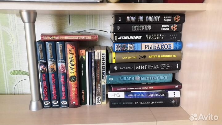 Книги. Фэнтези, научпоп, классика, стихи