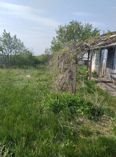 Дом 114,5 м² на участке 12,3 сот.