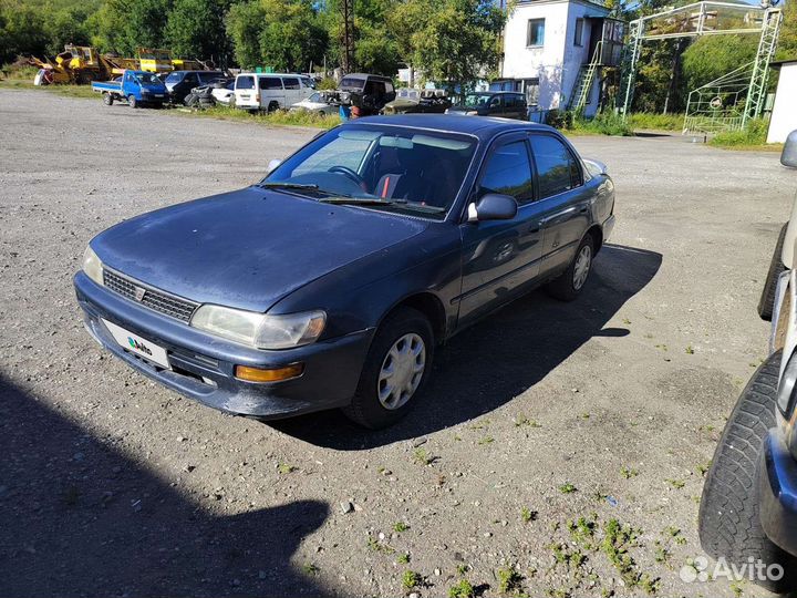 Toyota Corolla, 1994