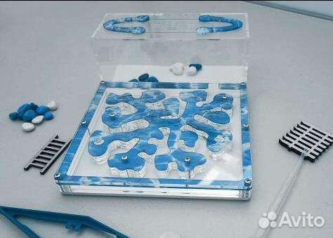 Муравьиная ферма