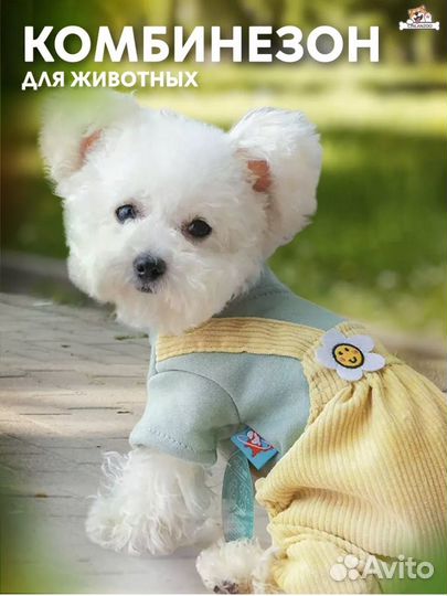 Костюм для собаки