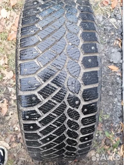 Gislaved Nord Frost 200 165/65 R15