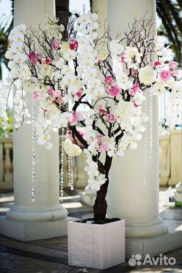 Цветущее дерево