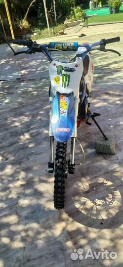 BSE 125