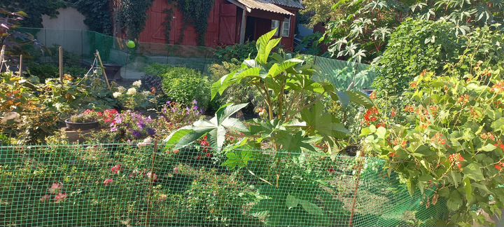 Дом 150 м² на участке 10 сот.