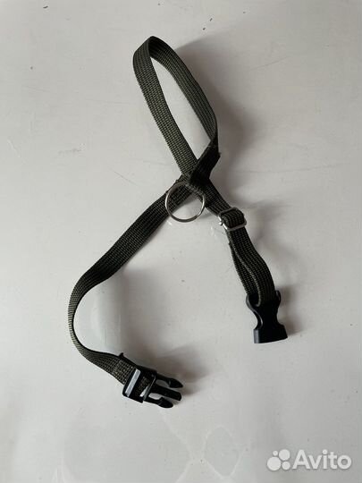 Ошейники для собак