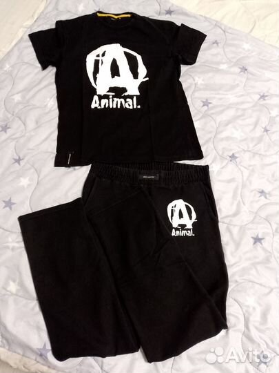 Спортивный мужской костюм с кроссовками