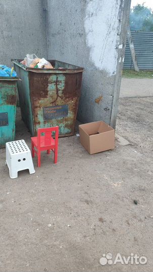 Кошка Ася ищет дом