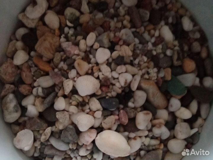 Грунт для аквариума