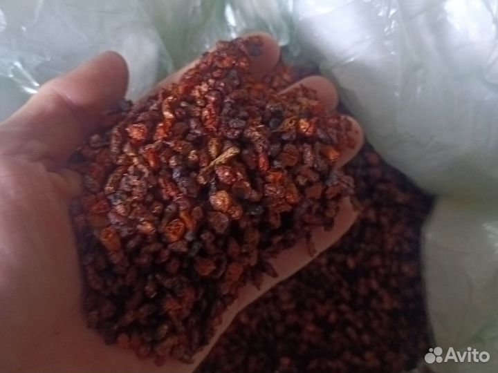 Брусника,малина,облепиха ягода