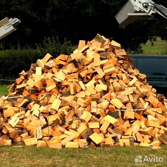 Дрова с Выборга