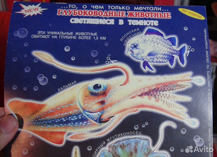 Глубоводные животные - светятся в темноте