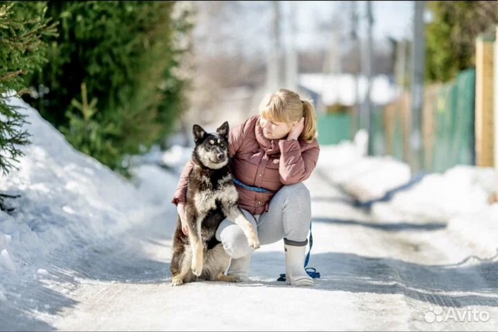 Щенок девочка в добрые руки