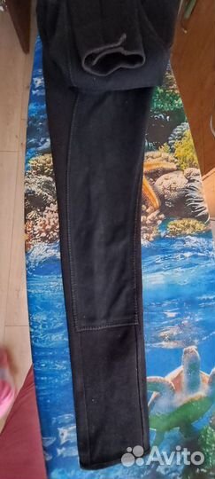 Конные бриджи Horse плотные