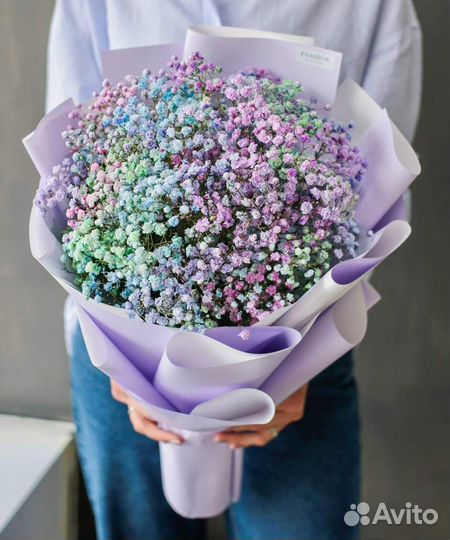 Гипсофила Радужная