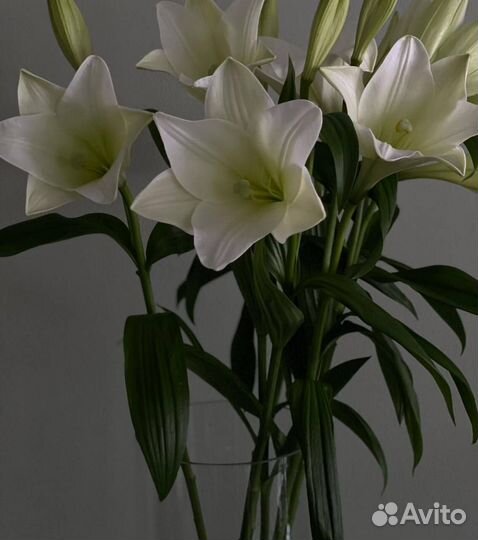 Букеты из лилий