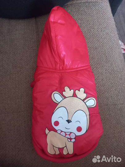 Жилетка для маленьких собак