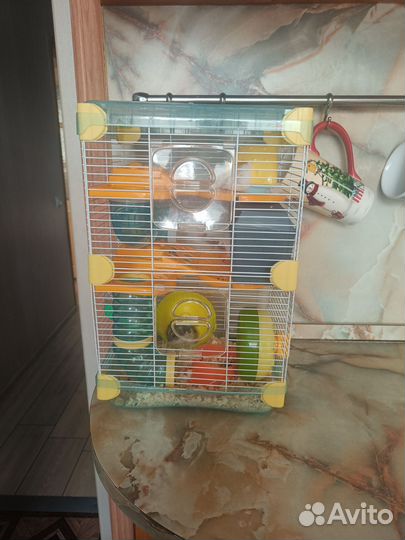 2 джунгарика