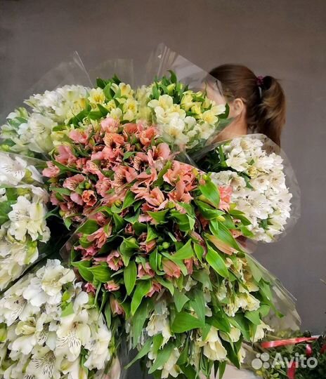 Розы России оптом от производителя