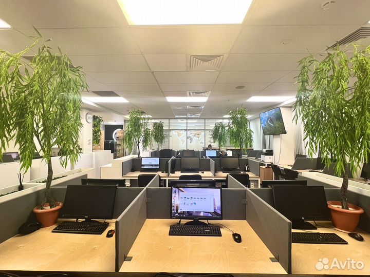 Прибыльное Агентство Недвижимости