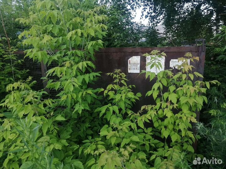 Голубятня продажа