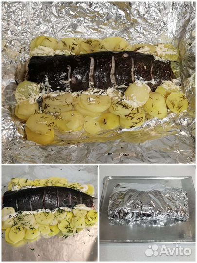 Кармут (Африканский мраморный сом) Живой