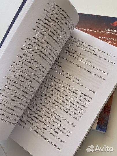 Книга «Сон и Пепел»